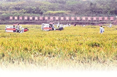 1660520322756718.jpg 1.jpg