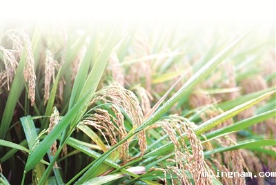 1660520372320034.jpg 4.jpg