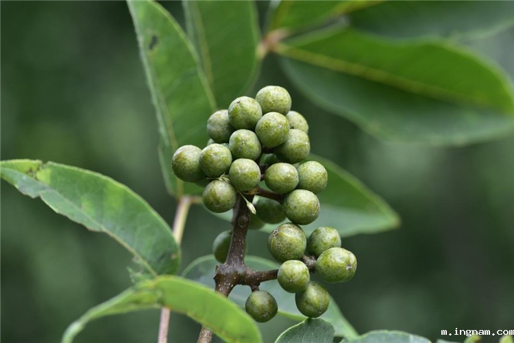 1708312919123468.jpg 28-2.jpg