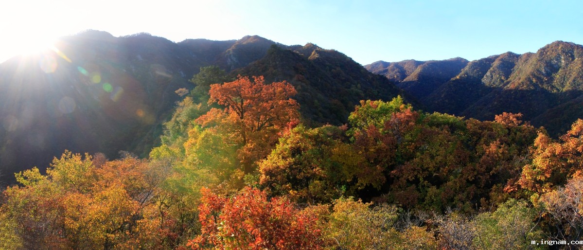 五龙山秋景 梁乐.jpg