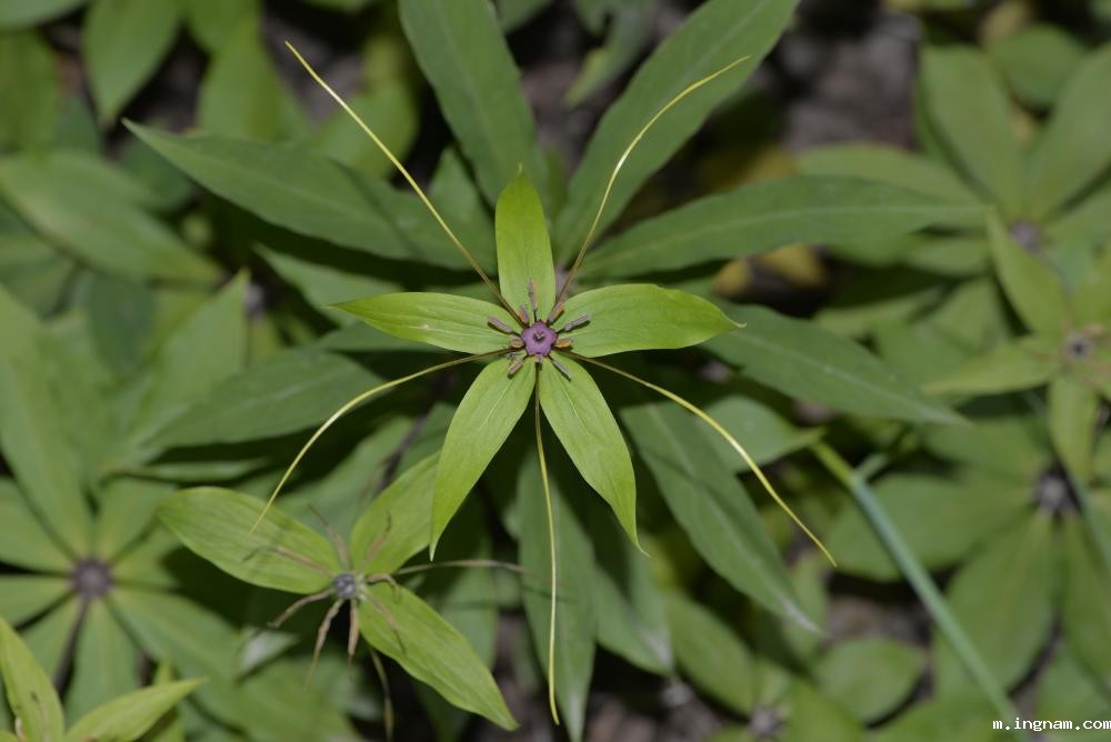 1704361323549898.jpg 1704361323549898.jpg