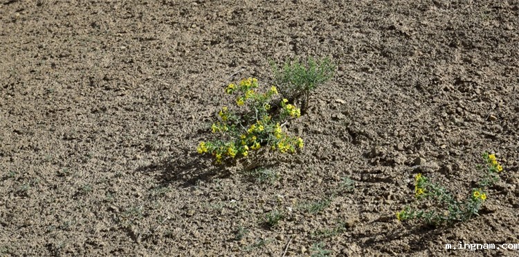 1717732001630482.jpg 12-2t.jpg