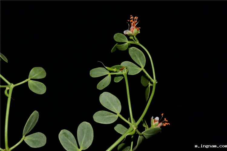 1719996050424618.png 4-2.png