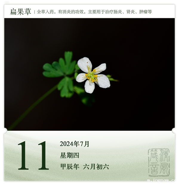 1720432334132956.png 箴历日历7-11.png