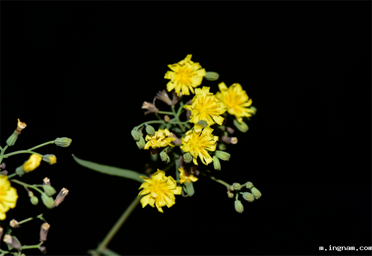 1719904842504188.png 3-2.png