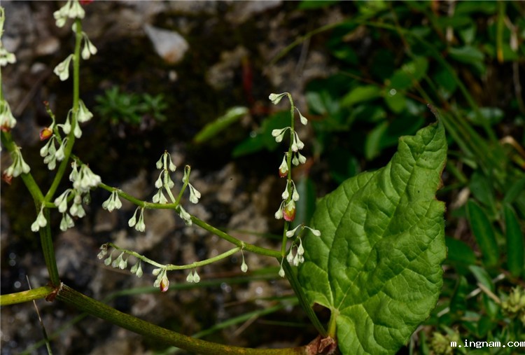 1729586024923806.jpg 23-2.jpg